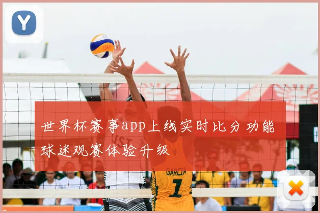 世界杯赛事app上线实时比分功能 球迷观赛体验升级
