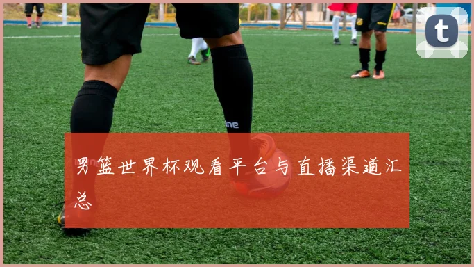 男篮世界杯观看平台与直播渠道汇总