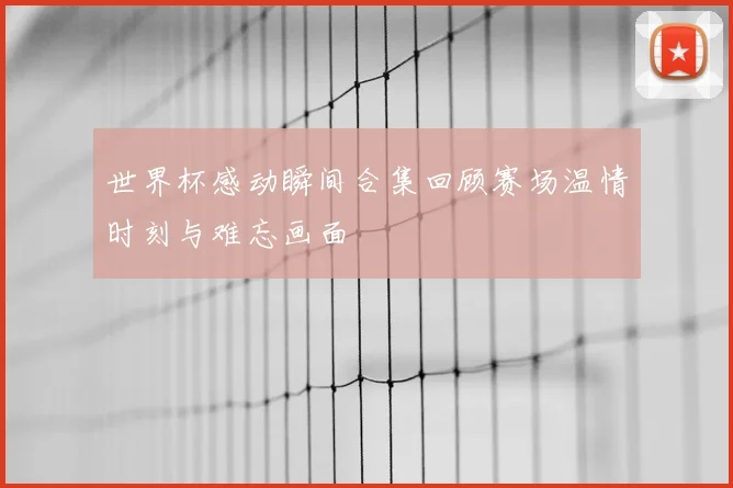 世界杯感动瞬间合集回顾赛场温情时刻与难忘画面