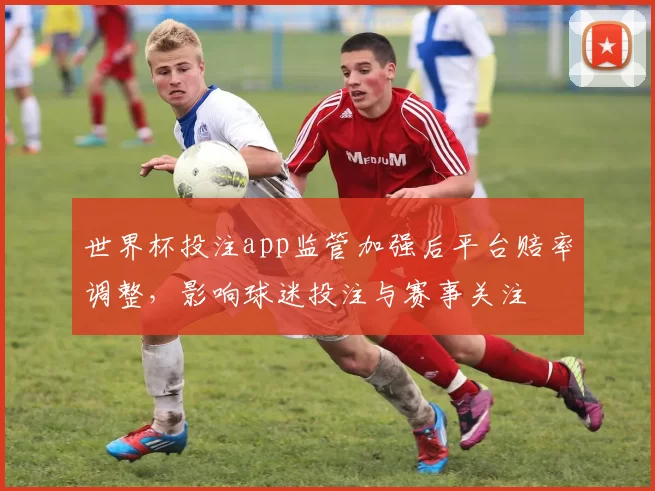 世界杯投注app监管加强后平台赔率调整，影响球迷投注与赛事关注